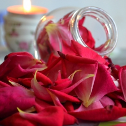 Uleiul de trandafir - Intrebuintari in cosmetica
